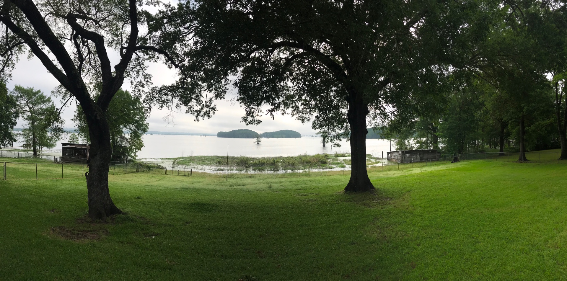 The lodge's lakeside yard looking across Caddo Lake to cypress islands
