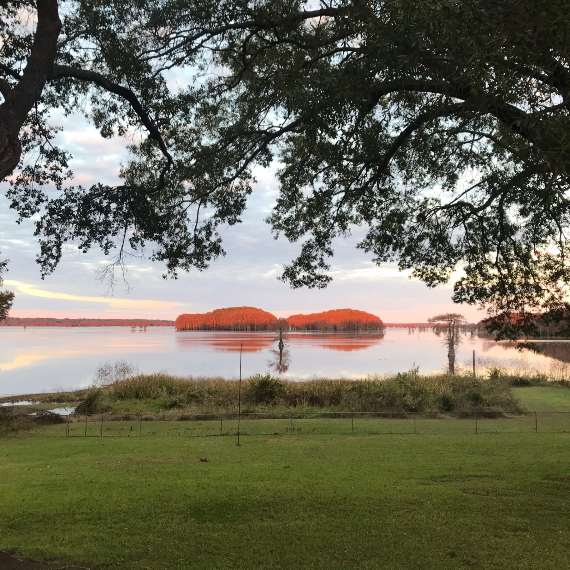 Sunset over Caddo Lake framed by live oak branches