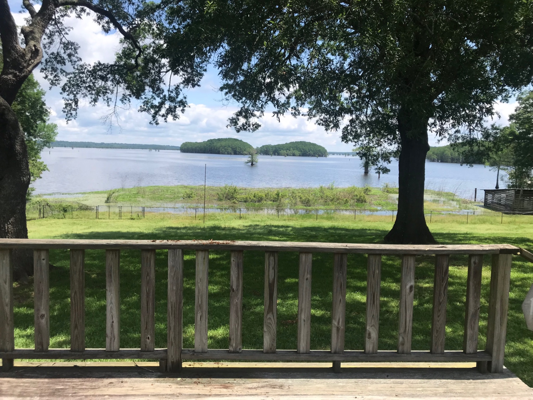 View of Caddo Lake and its islands from the wooden deck